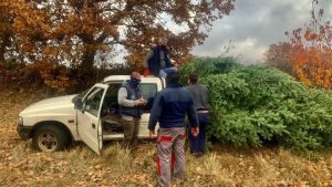 Στα «πόστα» τους θα βρεθούν σταδιακά, οι ελατοπαραγωγοί του Ταξιάρχη