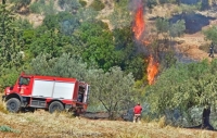 Πυρκαγιά κοντά στις Γούρνες Ηρακλείου