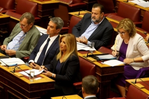 Γεννηματά για Σαρωνικό: Άλλη μια μαύρη κηλίδα για την χώρα