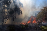 Υπό μερικό έλεγχο η φωτιά κοντά στον Άγιο Στέφανο