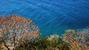Καιρός: Μακεδονία και Θράκη