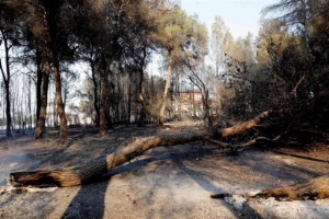 Πυρκαγιά στη Βαλένθια, 1.400 κάτοικοι και τουρίστες απομακρύνθηκαν