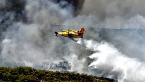 Πυρκαγιά στην αγροτοδασική έκταση των Πλανών Χαλκιδικής: Σε πλήρη εξέλιξη οι προσπάθειες κατάσβεσης