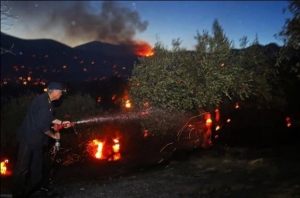 Ελέγχονται από την Πυροσβεστική τα πύρινα μέτωπα