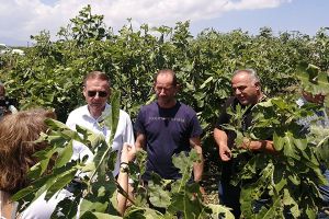 Δήμος Παιονίας: «Αμεση αντίδραση των υπηρεσιών του δήμου στα πρωτοφανή καιρικά φαινόμενα που έπληξαν το δυτικό τμήμα του δήμου»