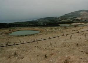 «Όχι» στους πρόσφυγες από καταστηματάρχες Κερατσινίου-Δραπετσώνας