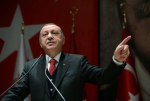 Τηλεφωνική επικοινωνία Ερντογάν - Στάινμαϊερ