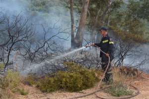 Πυρκαγιά σε δασική έκταση στην περιοχή Ασωπία Βοιωτίας