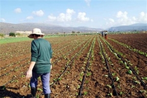 Επικυρώθηκε η υποχρέωση ανάκτησης €425 εκατ. από τους αγρότες