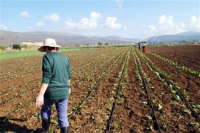 Επικυρώθηκε η υποχρέωση ανάκτησης €425 εκατ. από τους αγρότες