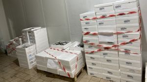 Νέα Μηχανιώνα: Κατασχέθηκαν 621 κιλά ψαριών στην ιχθυόσκαλα