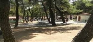 Εως 31 Μαΐου εγγραφές για τις παιδικές κατασκηνώσεις Αγ. Ανδρέα