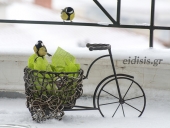 Ταΐζοντας τα πουλιά στο χιονισμένο μπαλκόνι του Κιλκίς!