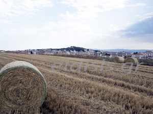 Δεν γλίτωσαν το grexit οι αγρότες του Κιλκίς