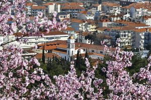 Κιλκίς, ο Αϊ Δημήτρης, πνιγμένος στα χρώματα της Άνοιξης…