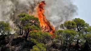 Εκτίναξη: Συνεχίζεται η μάχη για την κατάσβεση της πυρκαγιάς στο Φαλακρό
