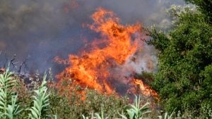 Φλώρινα: Ενίσχυση δυνάμεων για την κατάσβεση πυρκαγιάς στο Βαρικό