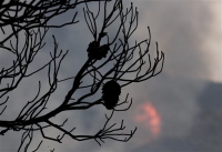 Εσβησε η φωτιά στα Δερβενοχώρια