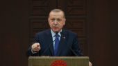 Μήνυμα Ερντογάν προς Τούρκους πολίτες: Μπείτε σε «εθελοντική καραντίνα»