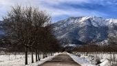Δριμύ ψύχος στη Β. Ελλάδα. Στους -19,4 βαθμούς η θερμοκρασία στη Φλώρινα