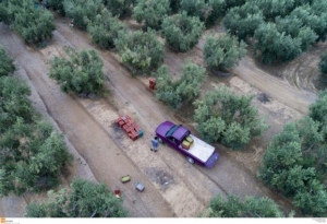 Την Παρασκευή οι αποζημιώσεις από τον ΕΛΓΑ
