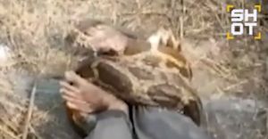 Πανικός σε εργοστάσιο στην Ινδία: Πύθωνας 3,5 μέτρων τυλίχτηκε γύρω από το πόδι εργάτη – Σοκαριστικό βίντεο