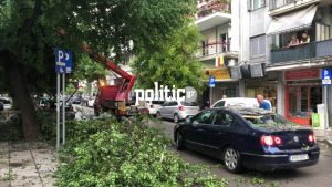 Θεσσαλονίκη: Συνεχείς πτώσεις δέντρων λόγω των ισχυρών ανέμων (vid &amp; pics)