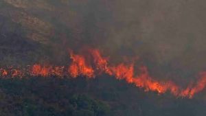 Μεγάλες πυρκαγιές σε ολόκληρη την Ευρώπη – Χιλιάδες έχουν εγκαταλείψει τα σπίτια τους (vids)