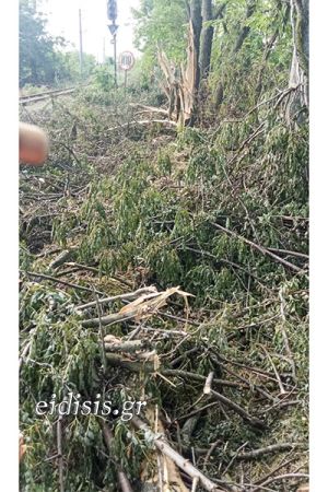 Η καταστροφική επέλαση του ΟΣΕ!