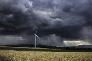 Πρώτο βραβείο για τη φωτογραφία του Αλέξανδρου Περτσινίδη