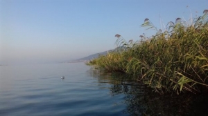 Νεκρός εντοπίστηκε ένας από τους δύο ψαράδες στην Βόλβη