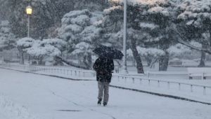 Ιαπωνία: Στους 17 νεκρούς ο τραγικός απολογισμός της σφοδρής κακοκαιρίας