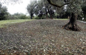 Διαβούλευση για βελτίωση αντιβροχικής και αντιχαλαζικής προστασίας