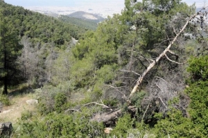 Επιχείρηση στα Λευκά Ορη για την διάσωση τουρίστα