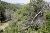Επιχείρηση στα Λευκά Ορη για την διάσωση τουρίστα