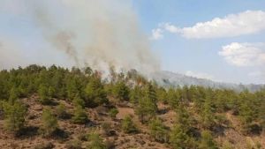 Δήμος Παιονίας: Πυρκαγιά σε αγροτοδασική περιοχή