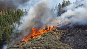 Θεσσαλονίκη και Χαλκιδική: Πολύ υψηλός κίνδυνος πυρκαγιάς – Δείτε τον ημερήσιο Χάρτη Πρόβλεψης