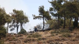 Πυρκαγιά-Σέιχ Σου: 90 στρέμματα δάσους έγιναν στάχτη – Οριοθετήθηκε η φωτιά