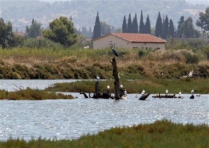 Στις όχθες του Ασωπού εντοπίστηκαν θαμμένα βιομηχανικά απόβλητα