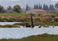Στις όχθες του Ασωπού εντοπίστηκαν θαμμένα βιομηχανικά απόβλητα