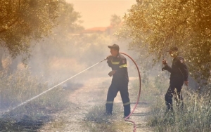 Σε πλήρη ύφεση η πυρκαγιά στη Χαλκιδική
