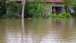 Αυξάνονται οι τραγωδίες από τις πλημμύρες στην Ινδονησία: 84 νεκροί