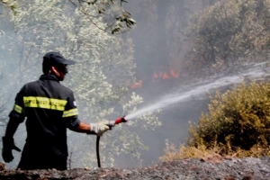 Ζητούνται νέες «συνταγές» για την αντιπυρική περίοδο