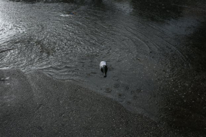 «Χτύπησε» την Αττική η κακοκαιρία - Μικρά προβλήματα στους δρόμους