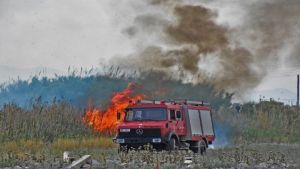 Φωτιά σε δασική έκταση στον Ταξιάρχη Χαλκιδικής