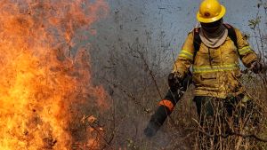 Ενδείξεις για μια δύσκολη χρονιά στις πυρκαγιές: Ερευνητές προειδοποιούν