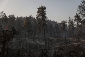 ΓΕΩΤΕΕ: Ριζικές αλλαγές στην εθνική πολιτική για την αντιμετώπιση πυρκαγιών