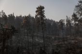ΓΕΩΤΕΕ: Ριζικές αλλαγές στην εθνική πολιτική για την αντιμετώπιση πυρκαγιών