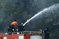 Σε ύφεση η πυρκαγιά στο Κρυονέρι Αττικής