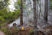 Πυρκαγιά στο πευκόφυτο δάσος του Σκρα